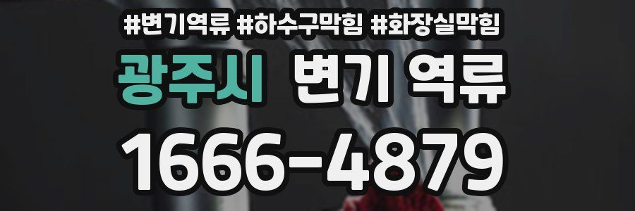 광주시 변기 역류