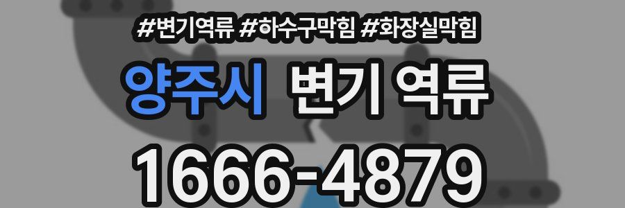 양주시 변기 역류