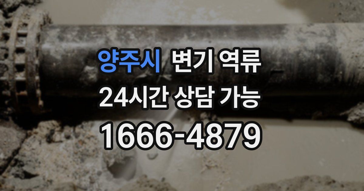 양주시 변기 역류