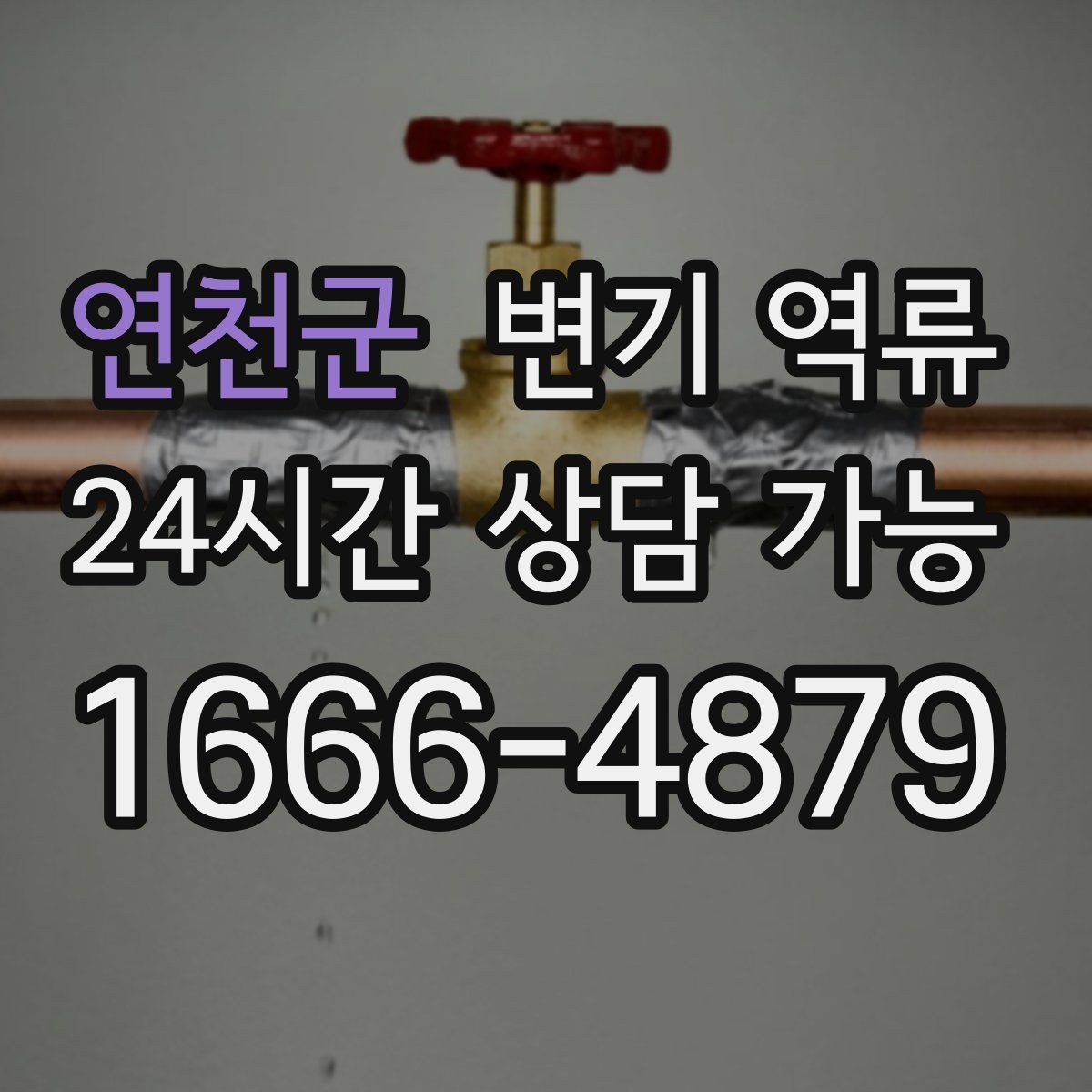 연천군 변기 역류 주방 싱크대 배수와 연동되는 느낌이 들 때