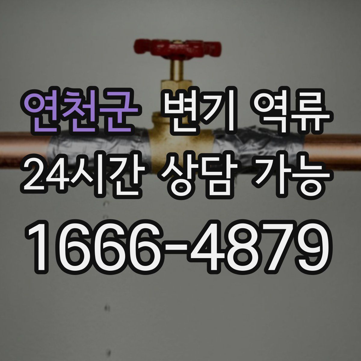 연천군 변기 역류