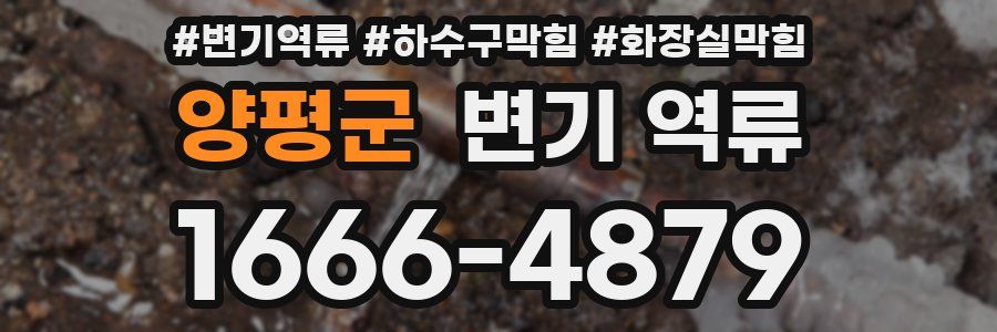 양평군 변기 역류