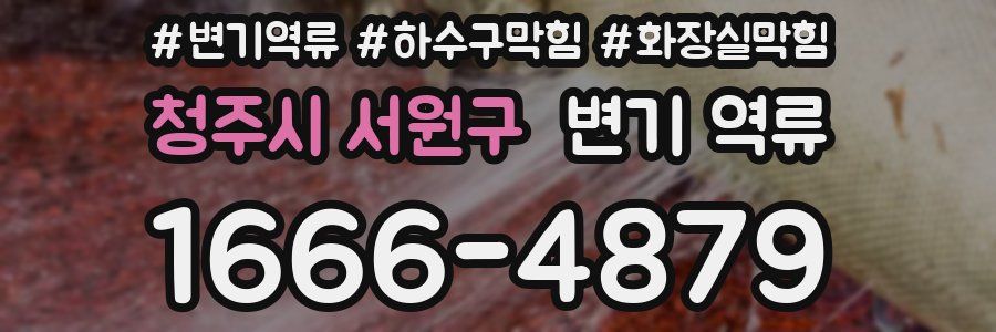 청주시 서원구 변기 역류