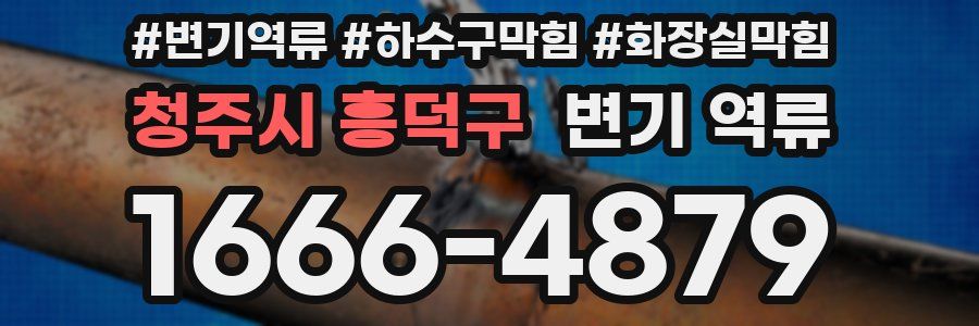 청주시 흥덕구 변기 역류