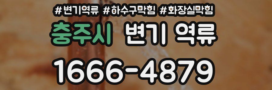 충주시 변기 역류