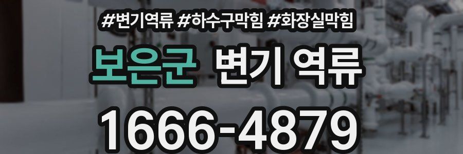 보은군 변기 역류