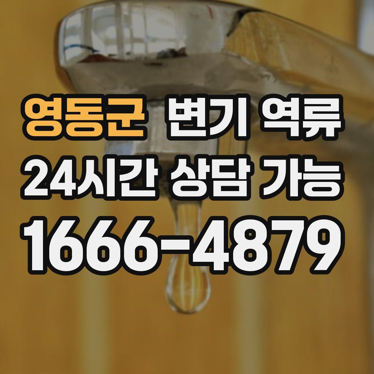 영동군 변기 역류