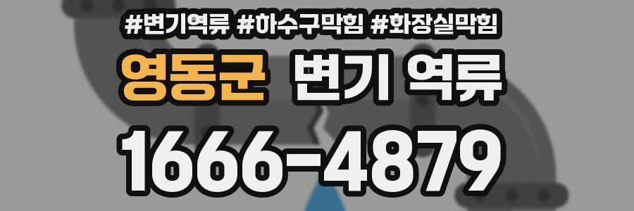 영동군 변기 역류