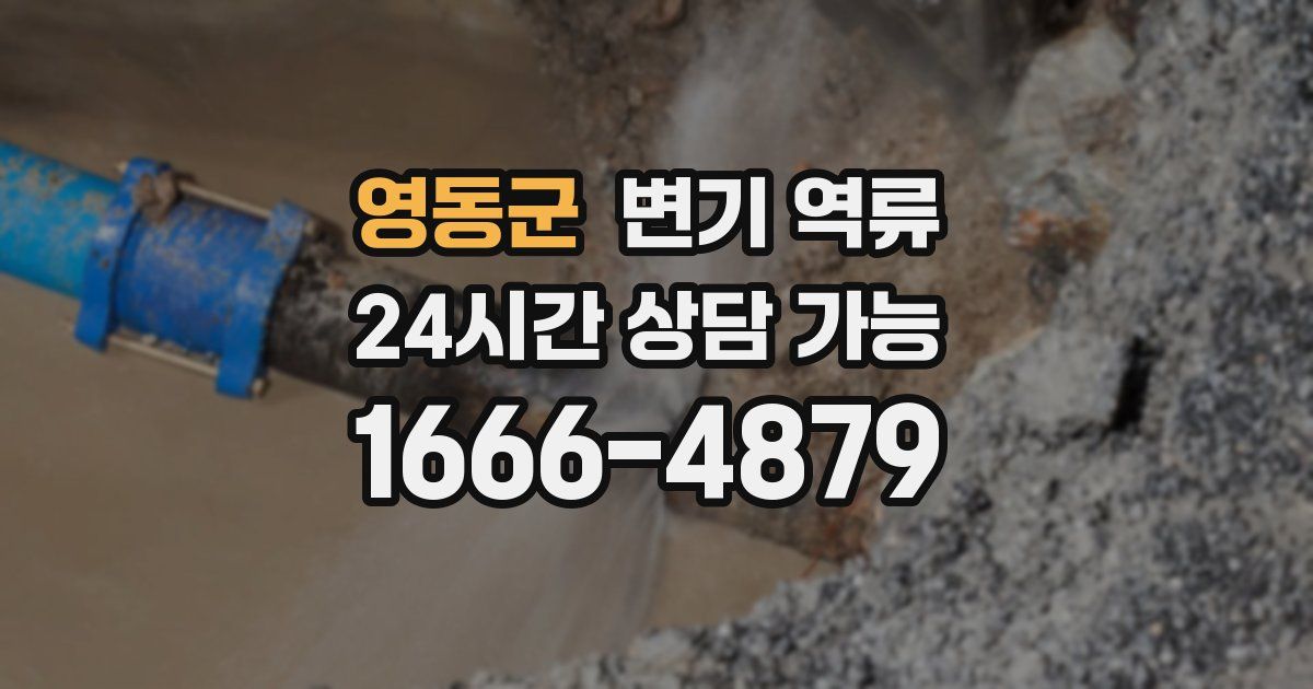 영동군 변기 역류