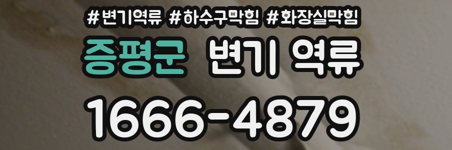 증평군 변기 역류