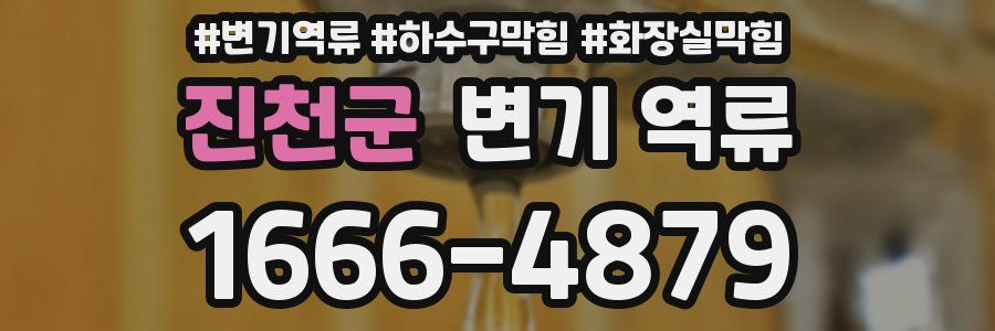 진천군 변기 역류