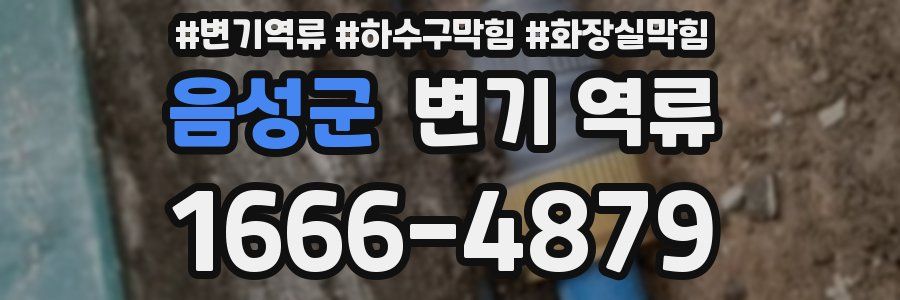 음성군 변기 역류