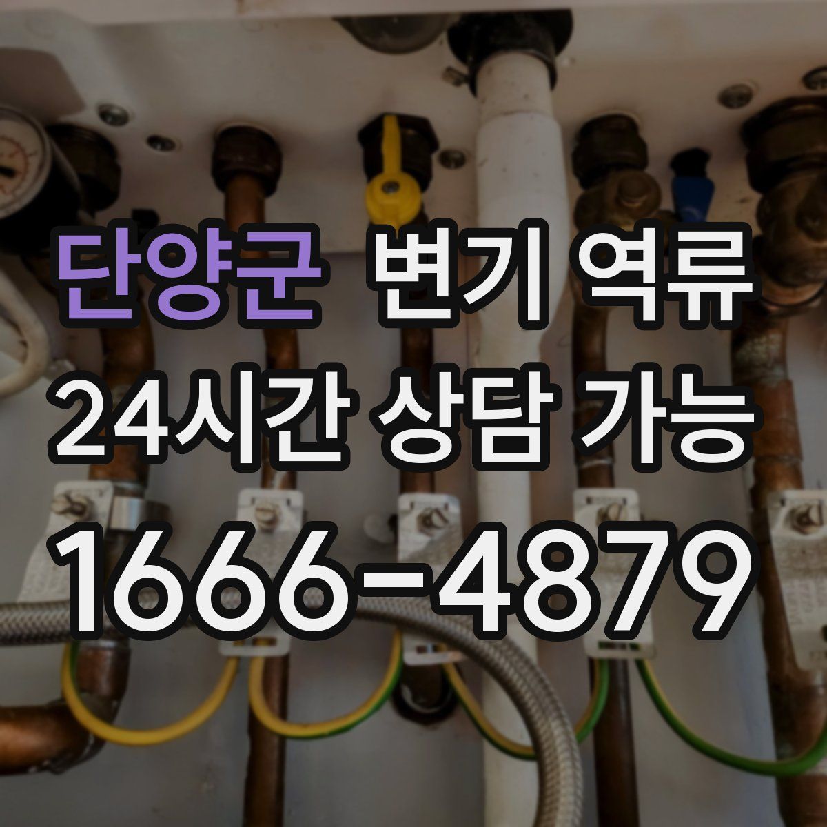 단양군 변기 역류