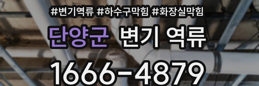 단양군 변기 역류