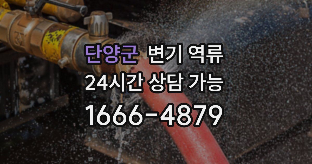 단양군 변기 역류