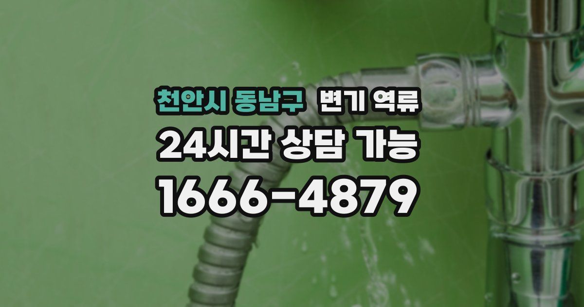 천안시 동남구 변기 역류