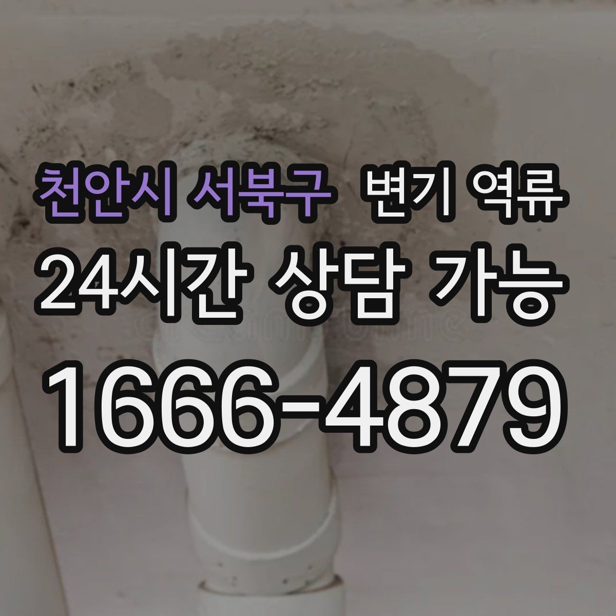 천안시 서북구 변기 역류 질문과 답변(FAQ)으로 정리한 핵심 QnA