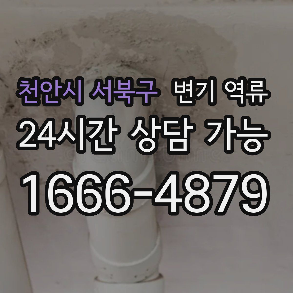 천안시 서북구 변기 역류