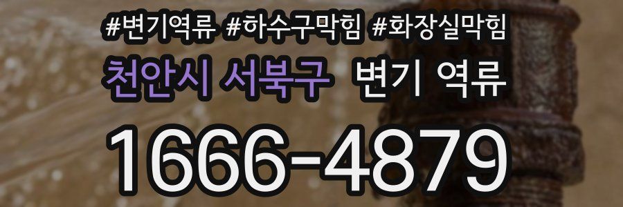 천안시 서북구 변기 역류