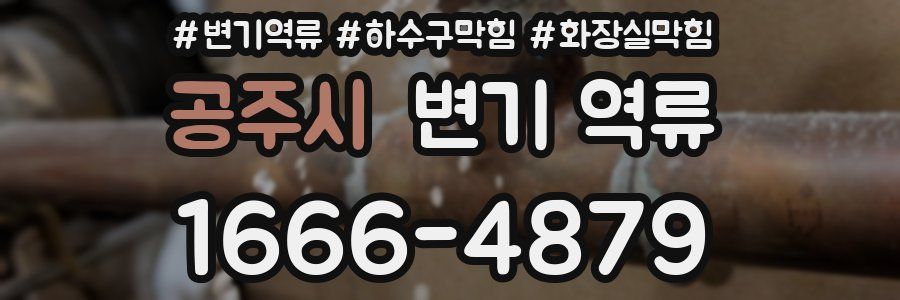 공주시 변기 역류