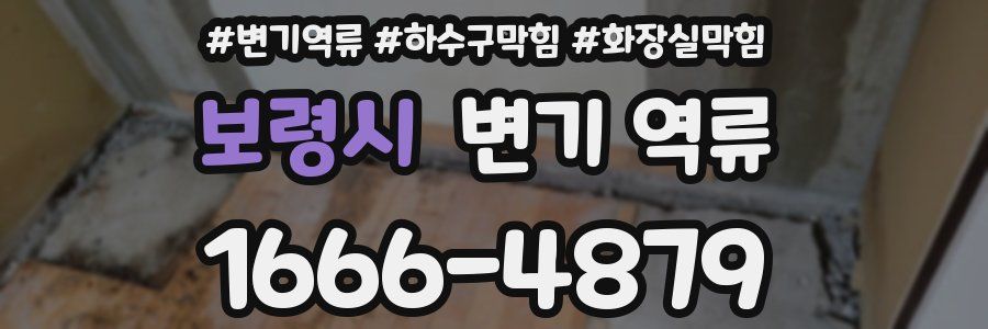 보령시 변기 역류