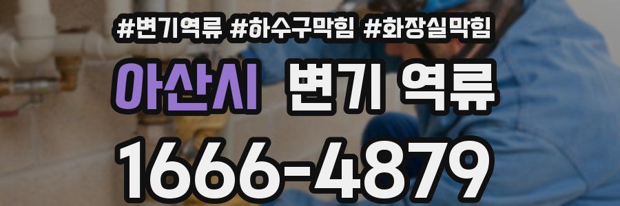 아산시 변기 역류