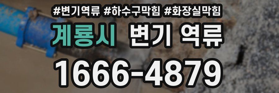 계룡시 변기 역류