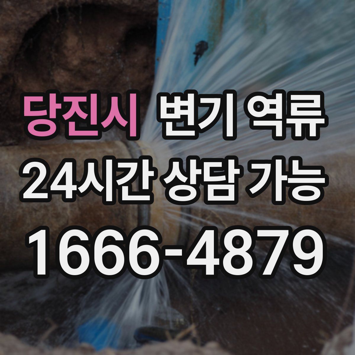 당진시 변기 역류