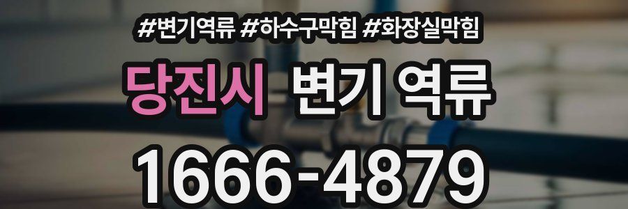 당진시 변기 역류