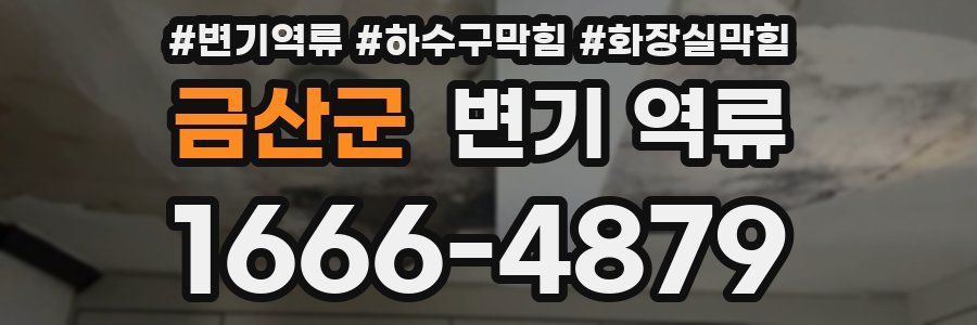 금산군 변기 역류