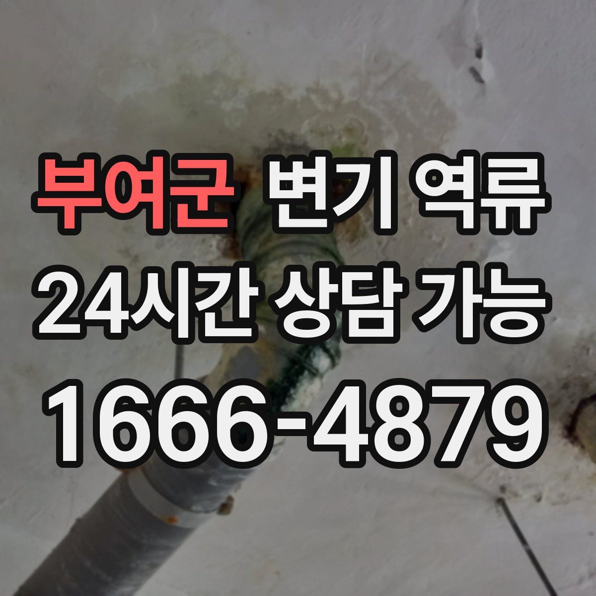 부여군 변기 역류