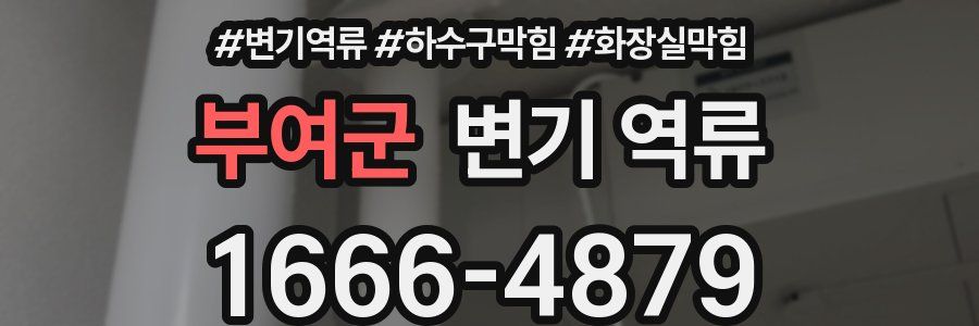 부여군 변기 역류