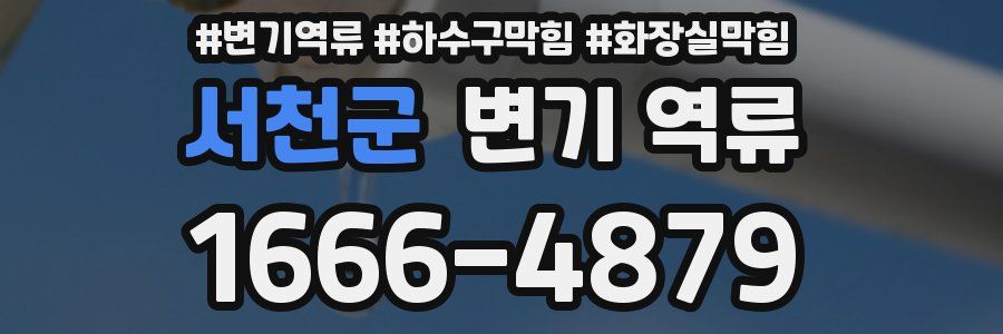 서천군 변기 역류