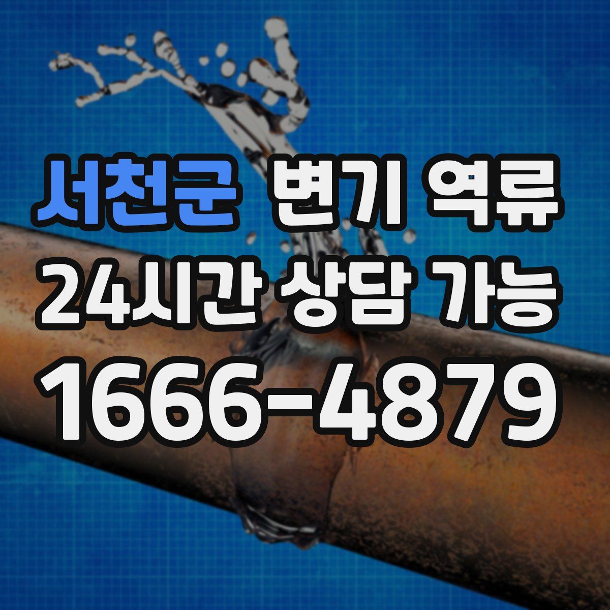 서천군 변기 역류