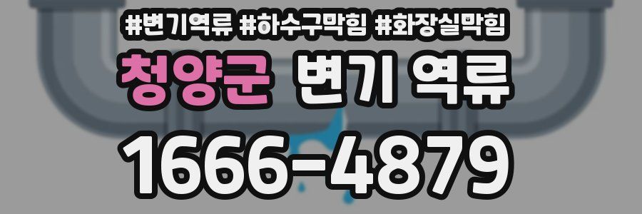 청양군 변기 역류