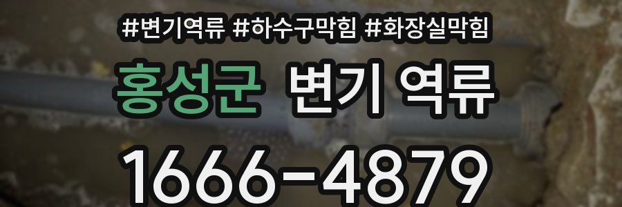 홍성군 변기 역류