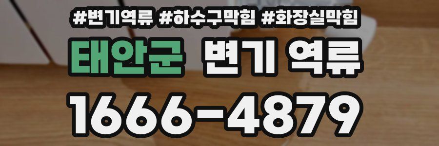 태안군 변기 역류