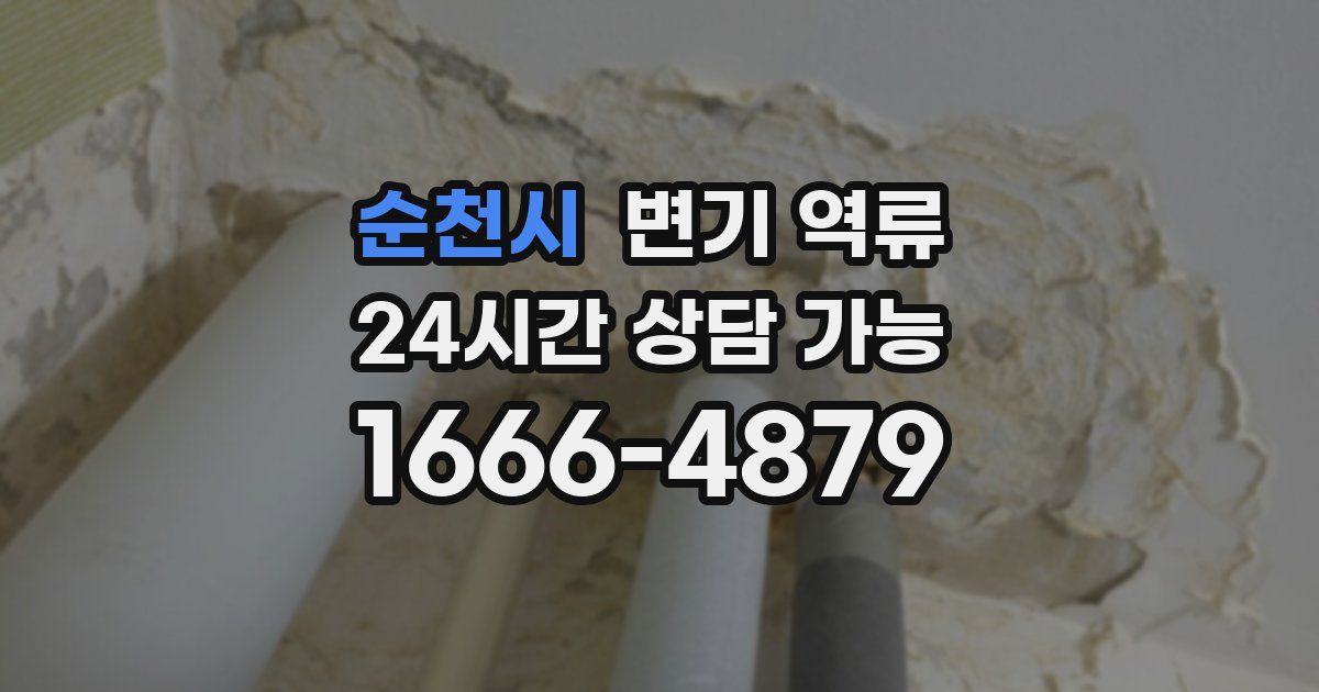 순천시 변기 역류