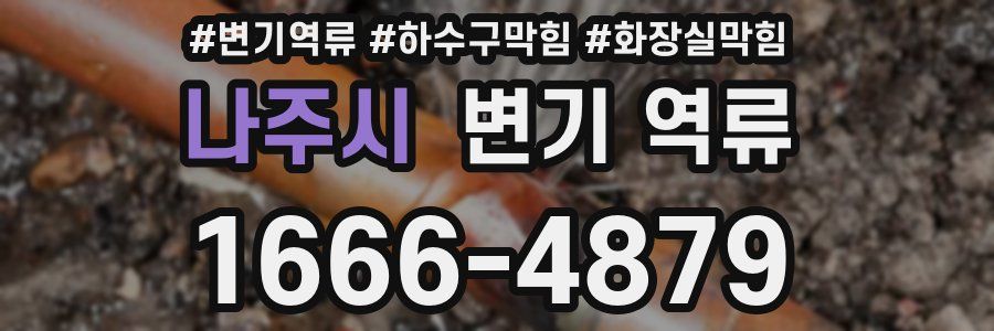 나주시 변기 역류
