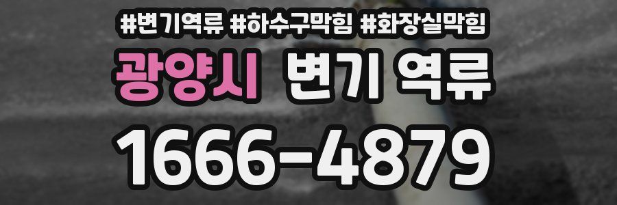 광양시 변기 역류