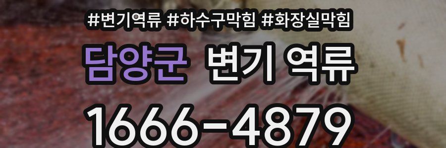 담양군 변기 역류