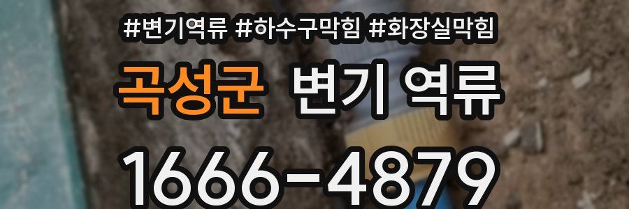 곡성군 변기 역류