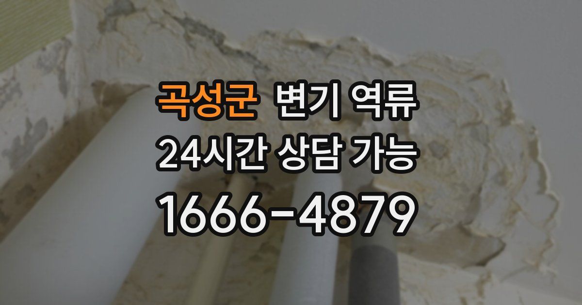 곡성군 변기 역류