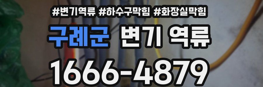 구례군 변기 역류