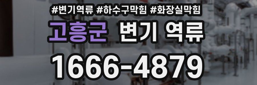 고흥군 변기 역류