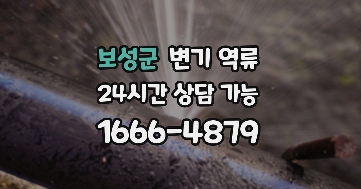 보성군 변기 역류