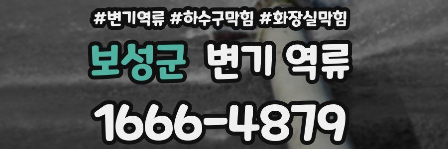 보성군 변기 역류