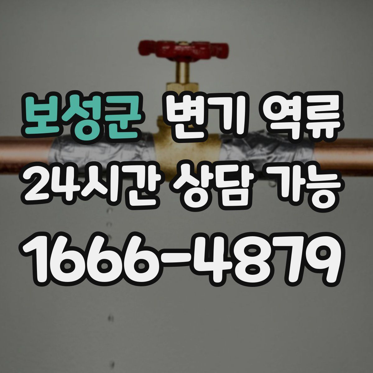 보성군 변기 역류