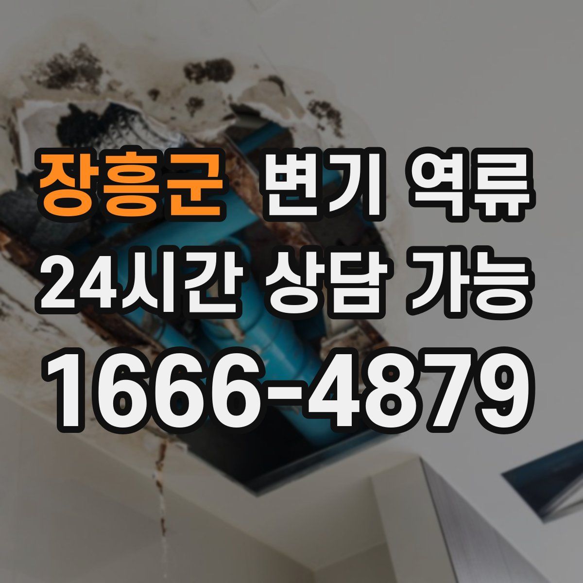 장흥군 변기 역류