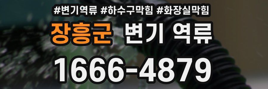 장흥군 변기 역류